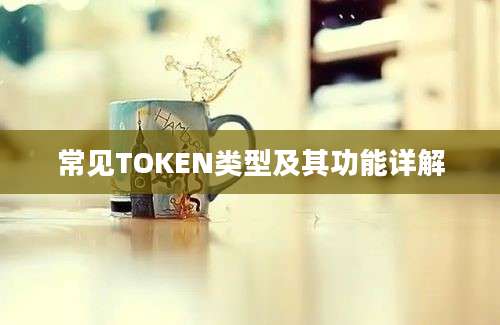 常见TOKEN类型及其功能详解