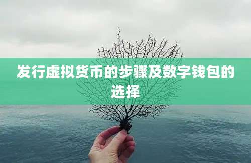 发行虚拟货币的步骤及数字钱包的选择