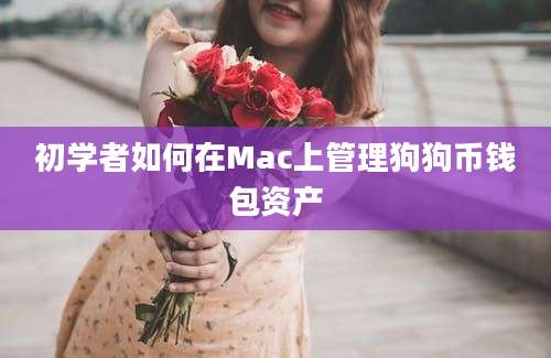 初学者如何在Mac上管理狗狗币钱包资产