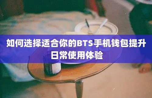 如何选择适合你的BTS手机钱包提升日常使用体验