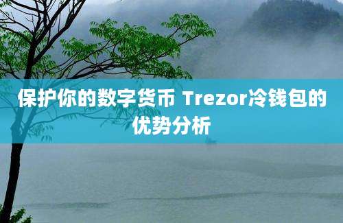 保护你的数字货币 Trezor冷钱包的优势分析