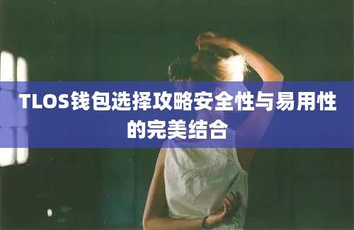 TLOS钱包选择攻略安全性与易用性的完美结合