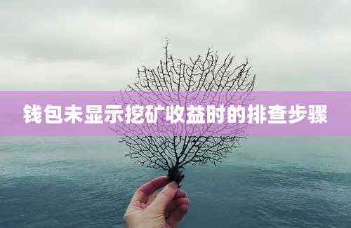 钱包未显示挖矿收益时的排查步骤