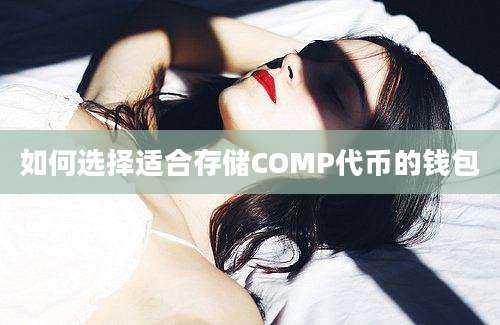 如何选择适合存储COMP代币的钱包