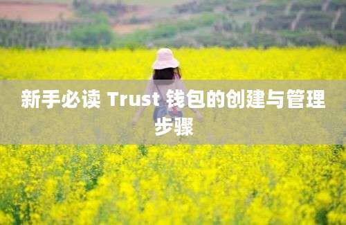 新手必读 Trust 钱包的创建与管理步骤