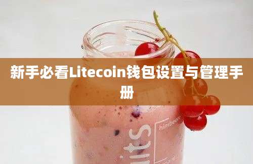 新手必看Litecoin钱包设置与管理手册