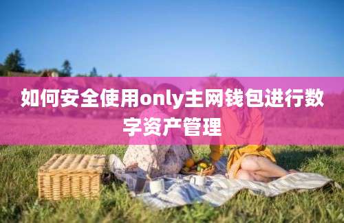 如何安全使用only主网钱包进行数字资产管理