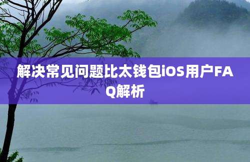 解决常见问题比太钱包iOS用户FAQ解析