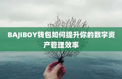 BAJIBOY钱包如何提升你的数字资产管理效率