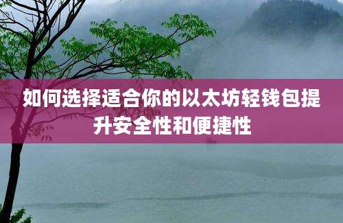 如何选择适合你的以太坊轻钱包提升安全性和便捷性