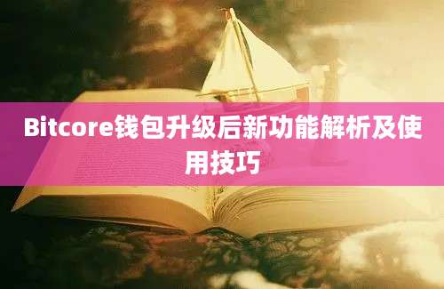 Bitcore钱包升级后新功能解析及使用技巧