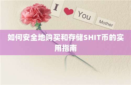 如何安全地购买和存储SHIT币的实用指南