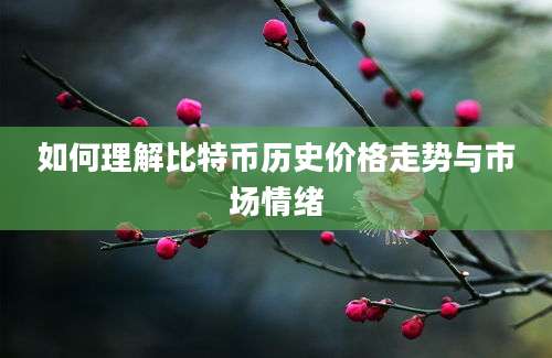 如何理解比特币历史价格走势与市场情绪