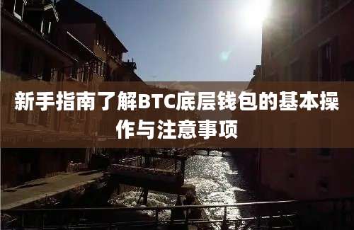 新手指南了解BTC底层钱包的基本操作与注意事项