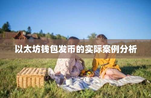 以太坊钱包发币的实际案例分析