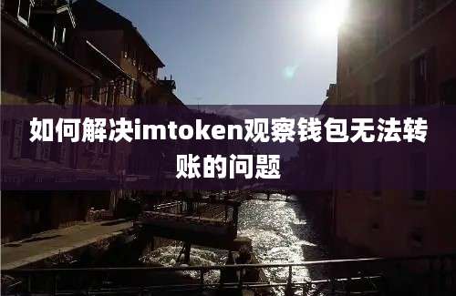 如何解决imtoken观察钱包无法转账的问题