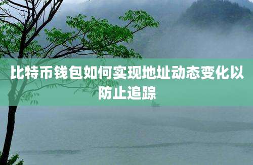 比特币钱包如何实现地址动态变化以防止追踪