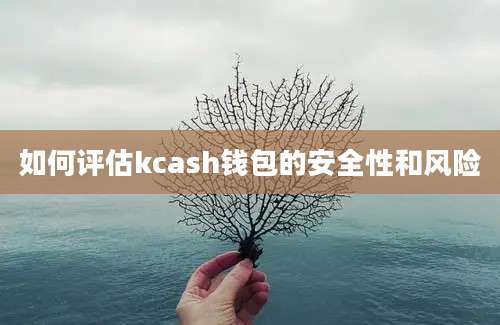 如何评估kcash钱包的安全性和风险