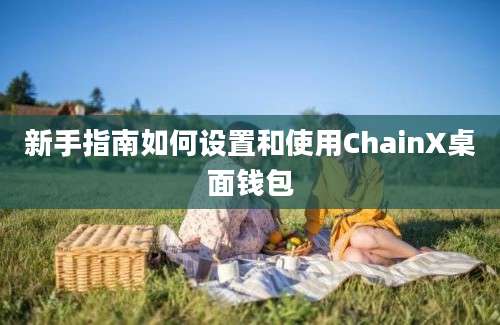 新手指南如何设置和使用ChainX桌面钱包