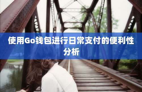 使用Go钱包进行日常支付的便利性分析