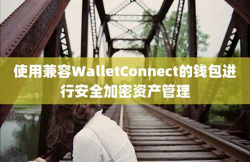 使用兼容WalletConnect的钱包进行安全加密资产管理