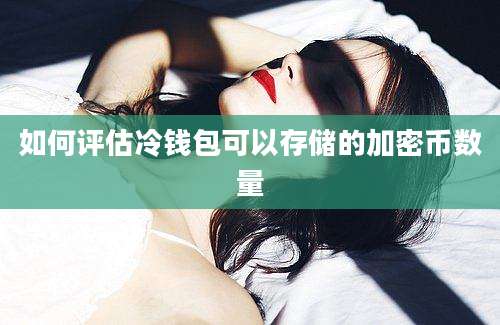 如何评估冷钱包可以存储的加密币数量