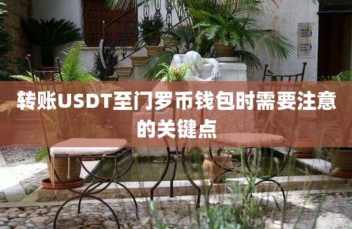 转账USDT至门罗币钱包时需要注意的关键点