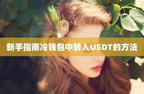 新手指南冷钱包中转入USDT的方法