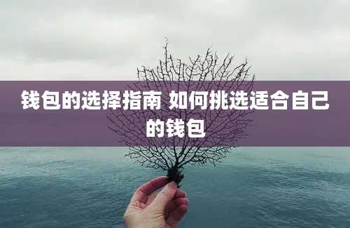 钱包的选择指南 如何挑选适合自己的钱包