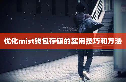 优化mist钱包存储的实用技巧和方法