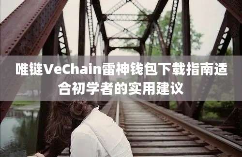 唯链VeChain雷神钱包下载指南适合初学者的实用建议