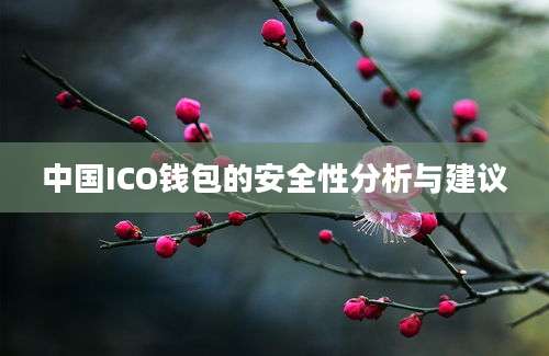 中国ICO钱包的安全性分析与建议