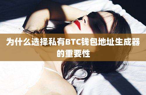 为什么选择私有BTC钱包地址生成器的重要性