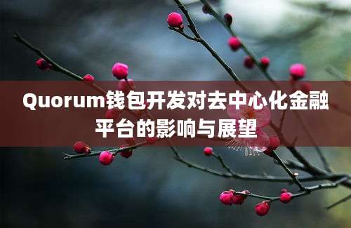 Quorum钱包开发对去中心化金融平台的影响与展望