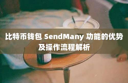 比特币钱包 SendMany 功能的优势及操作流程解析