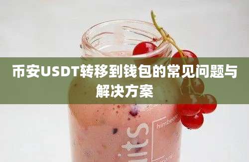 币安USDT转移到钱包的常见问题与解决方案