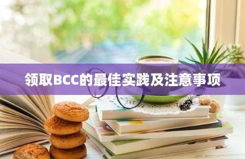 领取BCC的最佳实践及注意事项