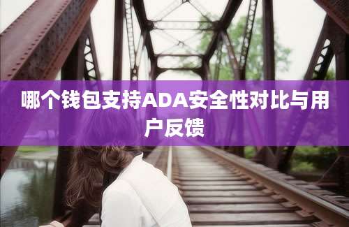 哪个钱包支持ADA安全性对比与用户反馈