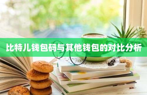 比特儿钱包码与其他钱包的对比分析