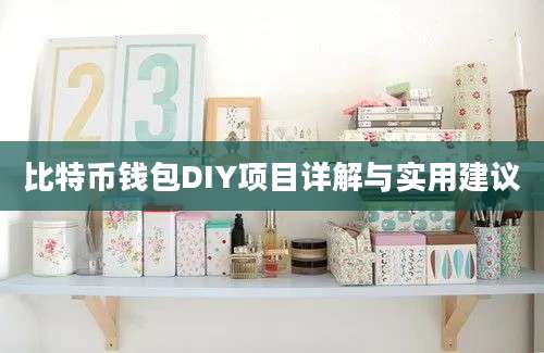 比特币钱包DIY项目详解与实用建议