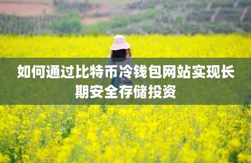 如何通过比特币冷钱包网站实现长期安全存储投资