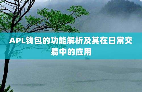 APL钱包的功能解析及其在日常交易中的应用