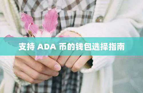 支持 ADA 币的钱包选择指南