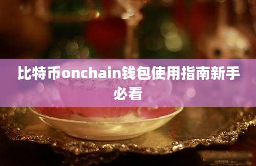 比特币onchain钱包使用指南新手必看