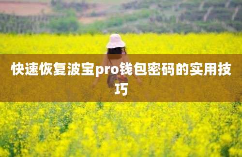 快速恢复波宝pro钱包密码的实用技巧