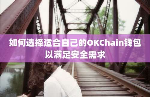 如何选择适合自己的OKChain钱包以满足安全需求