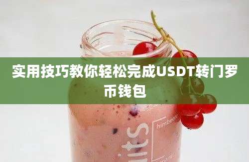 实用技巧教你轻松完成USDT转门罗币钱包