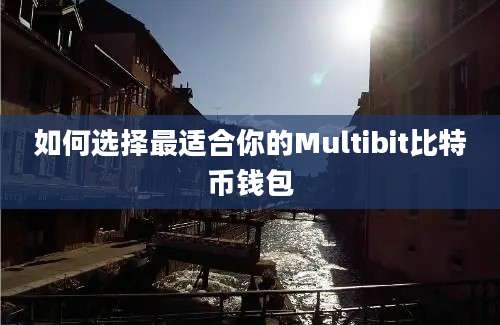 如何选择最适合你的Multibit比特币钱包