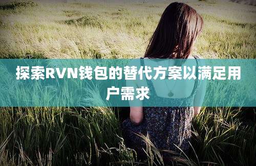 探索RVN钱包的替代方案以满足用户需求