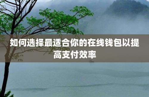 如何选择最适合你的在线钱包以提高支付效率